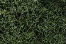 Woodland Scenics L163 Lichen - Medium Green