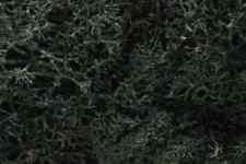 Woodland Scenics WL164 Dark Green Lichen