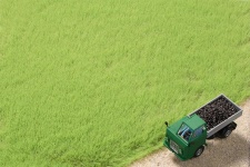 Auhagen 75613 Light Green 4.5 mm Grass Fibers