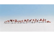 noch-15723-brown-and-white-cows-figures-ho-gauge-1-87-scale
