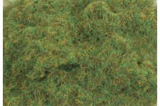 psg-602