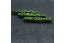 tasma-00989-flower-hedges