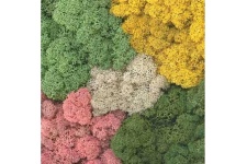 total-mix-lichen-800x800_1