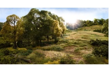 Woodland Scenics FS623 7mm Static Grass Light Green Example Layout