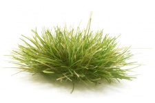 Woodland Scenics FS771 Medium Green Grass Tufts