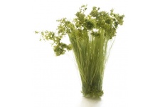 Woodland Scenics FS777 Medium Green Prairie Grass