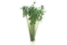 Woodland Scenics FS778 Dark Green Prairie Grass