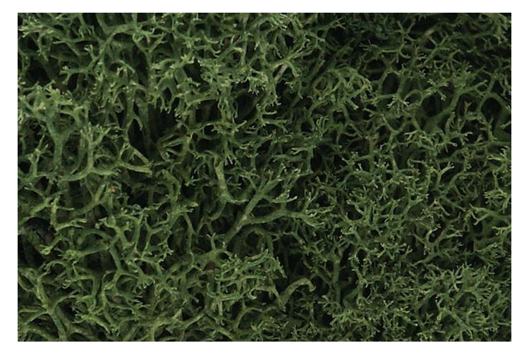 Woodland Scenics L163 Lichen - Medium Green