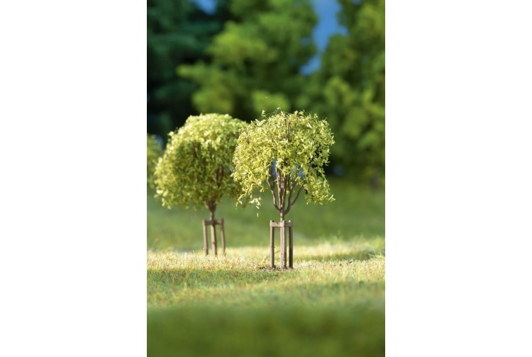 auhagen-70950-young-trees