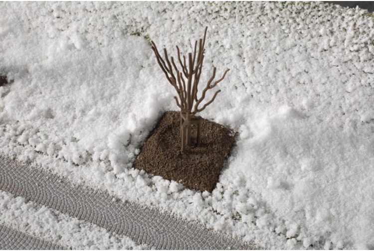 Auhagen 70951 Model Railway Scenery - Young Winter Trees detail