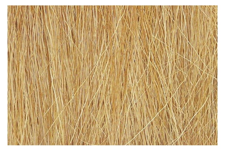 fg172