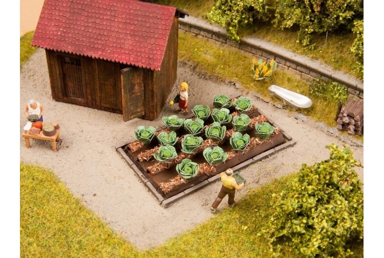 Noch 13217 White Cabbage Example Layout 2
