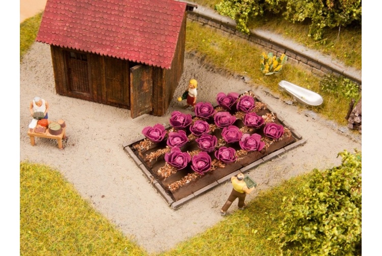 noch-13218-red-cabbage