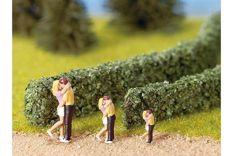 Noch 21524 Model Hedges Dark Green Example Size