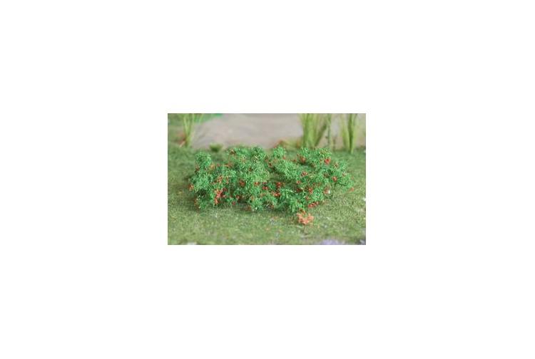 tasma-00682-tomatoes