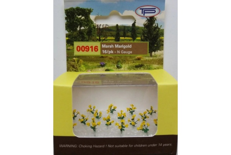 tasma-00916-marsh-marigolds