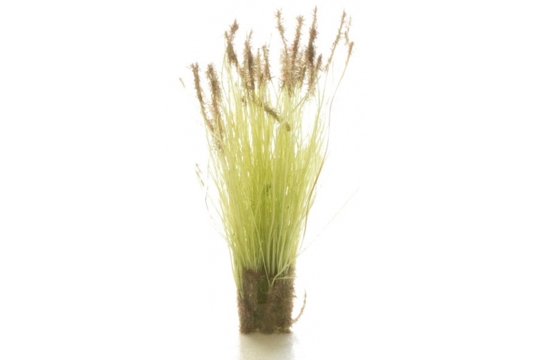 Woodland Scenics FS779 Brown Tipped Prairie Grass