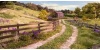 Scenery for Model Railways Wargaming and Dioramas