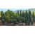 Busch 6591 Mixed Forest With 50 Trees
