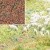 busch-7356-micro-flock-heather