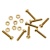 Expo Tools 31020 8BA Brass Cheesehead Nuts and Bolts (pack of 8) expotools-31020-8ba-brass-cheesehead-nuts-bolts