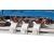 Hornby R8212 Rolling Road Rollers Spare Rollers hornby-r8212-rolling-road-rollers