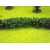 Jordan 59552 13F Green Hedge 100cm