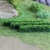 OO HO gauge Model Railway Scenery Tasma TAS00979 Green Hedges
